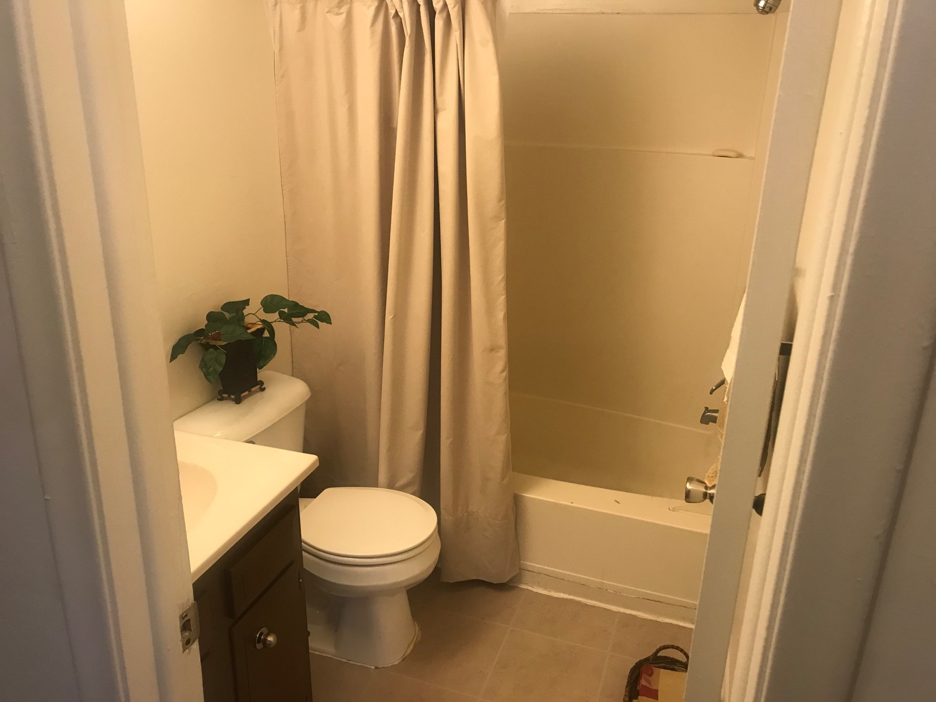 Sugartree Apartments bathroom in Mount Morris Michigana